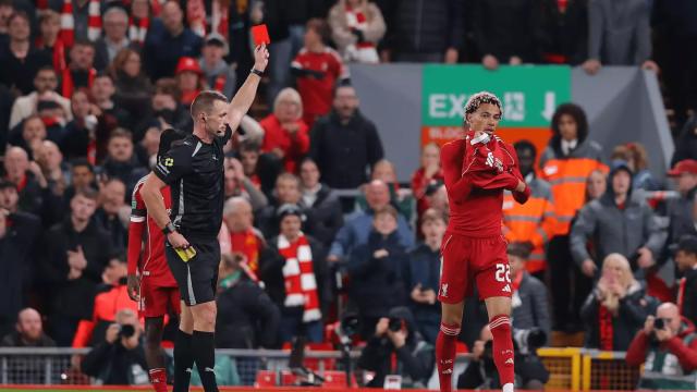 net, net, 染黄 net, net, 染黄