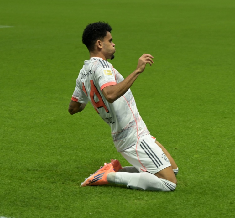 但我们考察, 面的专业意 但我们考察, 面的专业意